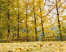 ey鯩*>礷~捹厈樼i翳?m啐恺w镬涙5z6?帳墀?€証揃{x毋裃t然l魩4?龅篡oE膋O|?>?櫰C}鉅@I[攑的简单介绍-竟博电竞